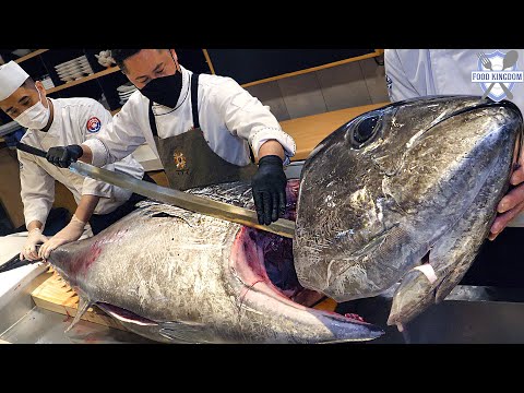한시간 순삭! 거대한 생참치 해체쇼와 대왕민어 일품 코스요리 몰아보기 / Giant tuna cutting show and Luxurious sashimi course