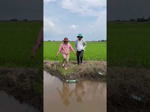 Mày đào banh cái bờ tao rồi