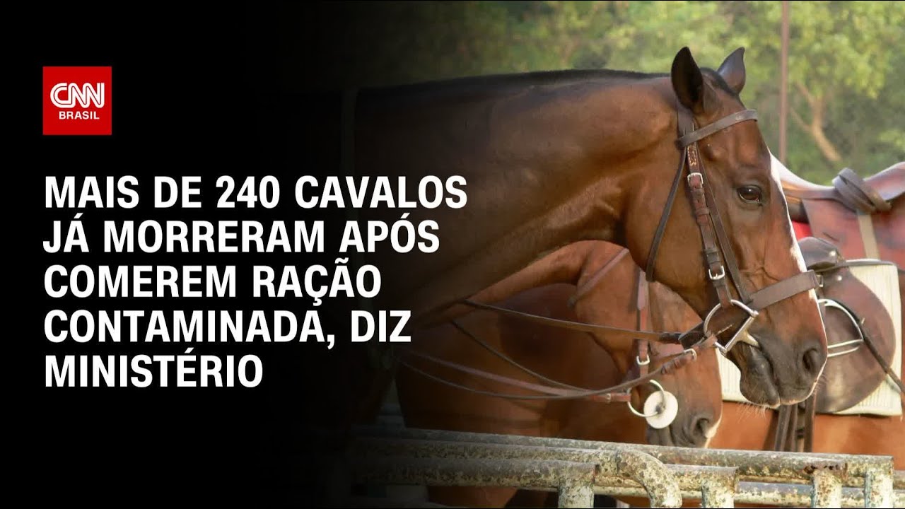 Ração contaminada: Mais de 240 cavalos já morreram, diz Ministério da Agricultura | CNN NOVO DIA