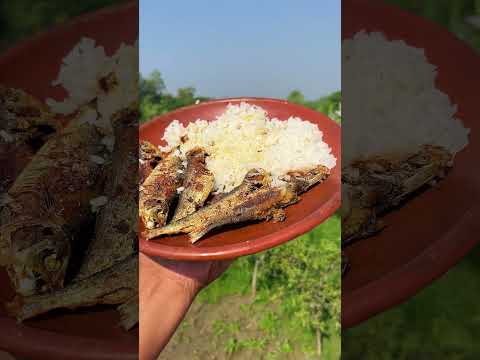 ঝাটকা মাছ ভাজার সাথে গরম ভাত।