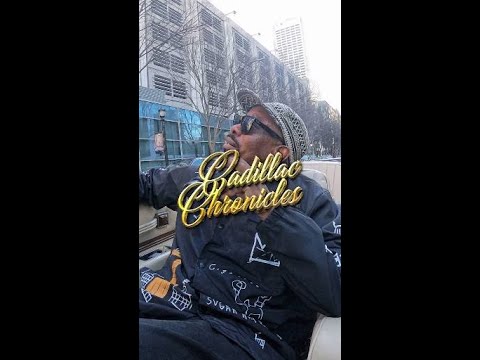 The Art of Baking: From Classic Bread to Artisan Pastries