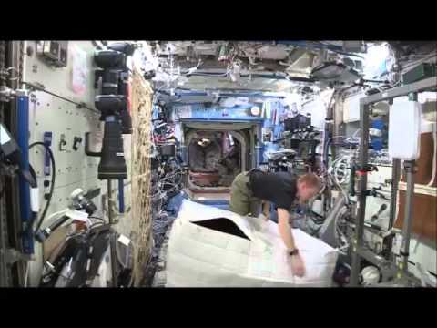 #SpaceApe - NASA Hijinks Ensues Aboard Space Station | Video - UCVTomc35agH1SM6kCKzwW_g