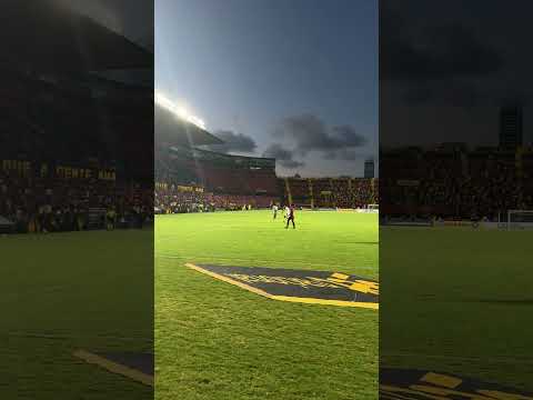 image para ilustrar o artigo