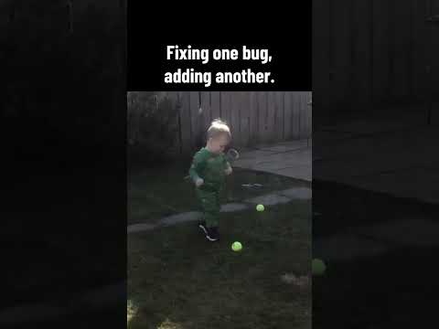 Every Time I Fix a Bug, Another Appears