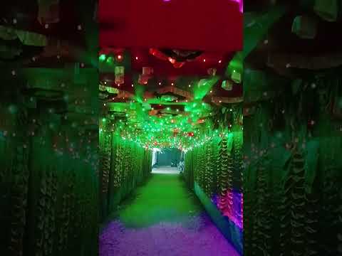 wedding lighting #happy #song #wedding #weddingphotography