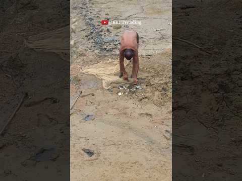 Net Fishing Video || Telangana Fishing || Fishing videos || Knr Trending