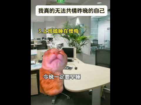 猫の動画サムネイル - 我真的无法共情昨晚的自己#有趣 #猫meme #猫meme剧场 #猫meme小剧场 #内容过于真实  #故事 #貓 #猫猫meme小剧场 #喵不可言