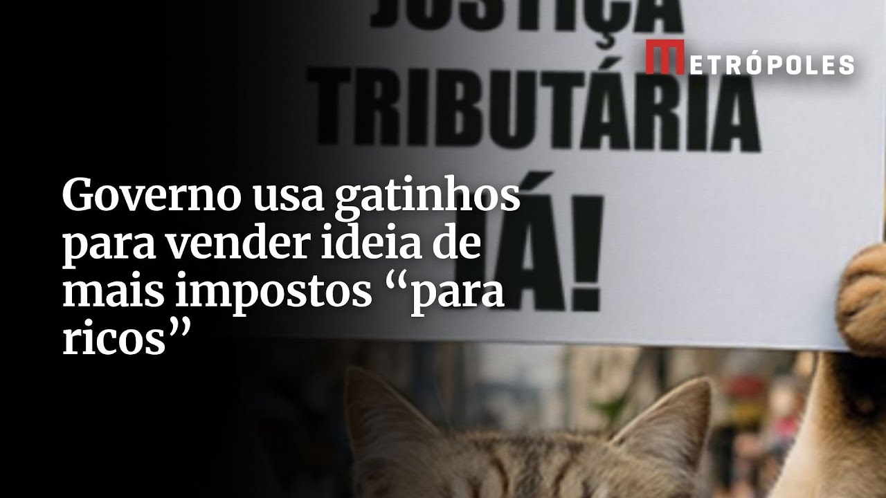 Governo usa gatinhos para vender ideia de mais impostos para ricos