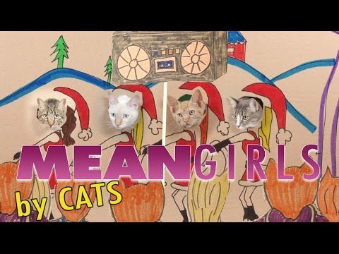 Mean Girls Parody - Mean Cats - UCPIvT-zcQl2H0vabdXJGcpg