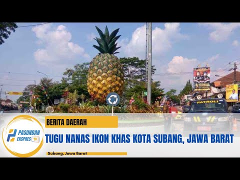 Mengapa NANAS? Ikon Kota Subang