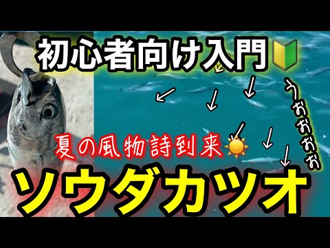 【入門】初心者でも40センチ級の館山ソウダカツオが狙える仕掛けとタナはコレ!ソウダカツオ釣り入門2025.6