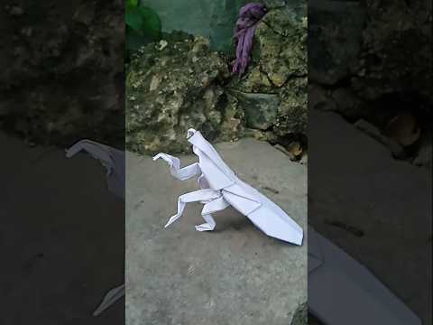 origami praying mantis #origami #entertainment #diy #dragon #mantis #origamiprayingmantis #insects