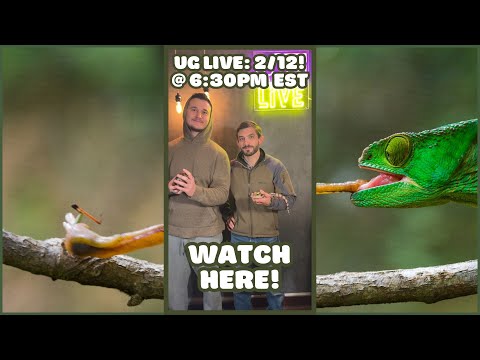 UG LIVE SHOW - 2/12 @ 6:30 PM EST
