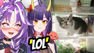OniGiri & I Rated Your Fridges..