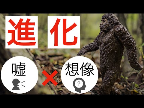 【6分解説】人類の進化/人々の協力はどのように起こったのか？