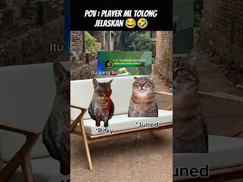 Pov : Iya MANA 🤣 #meme #cat #kucing #funny #animation #fypシ