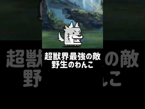 猫の動画サムネイル - 【１分で分かる敵キャラ紹介】野生のわんこ #にゃんこ大戦争
