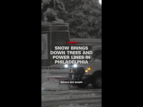 Snow brings down trees and power lines in Philadelphia