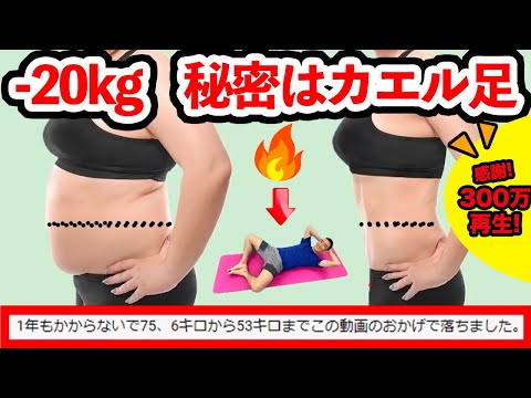 こんさん ととのえて からだ の最新動画 Youtubeランキング