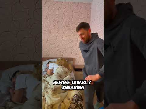 This Lion Pulled the Biggest Prank on His Friend🦁😭