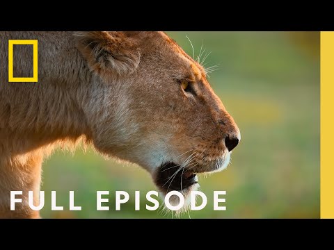 Sacrifice and Betrayal: Queens of the Rainforest (Full Episode) | Queens