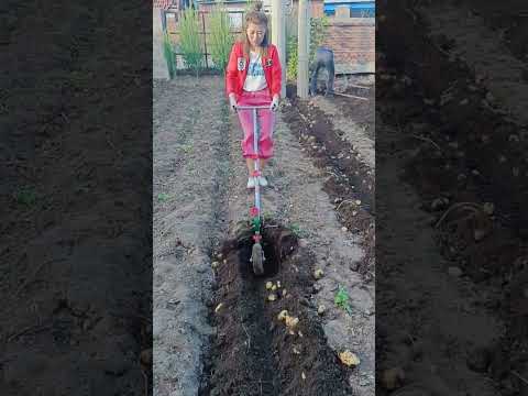 #foodproduction #amazingmachinery #automobile #foodbusiness #agriculture #farm #foodsector #farm