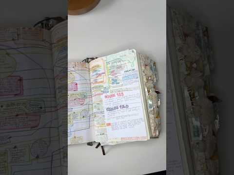 What I write in my Bible & why!