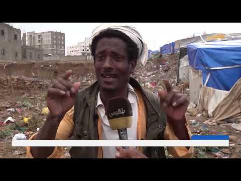 قناة بلقيس الفضائية