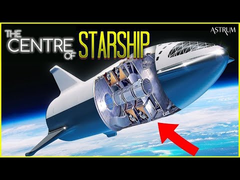 How a 5-Month Trip on Starship Would Physically Change You Forever