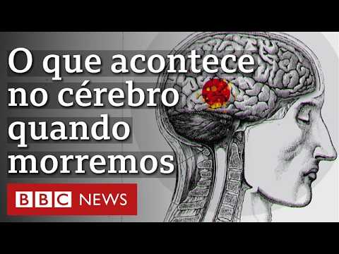 As descobertas de neurocientista sobre o que se passa no cérebro enquanto morremos