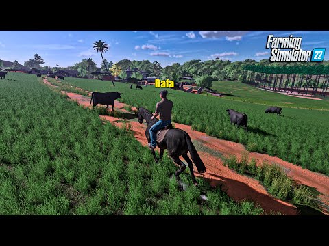 Fazenda simulada #66 | Comprei os cavalos e aumentei o rebanho de gado | Farming simulator 22