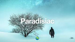 Sound Saviour - Roots of Consciousness (Paradisiac Exclusive!)