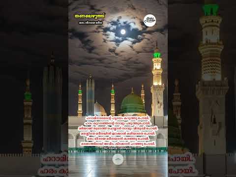 തണലെഴുത്ത് - 238 മനം നിറയെ മദീനാ | #muthnabiﷺ #mrs_rak #madina #foryou #തണലെഴുത്ത് #madhsong