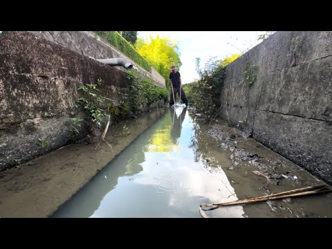 用水路でガサガサ