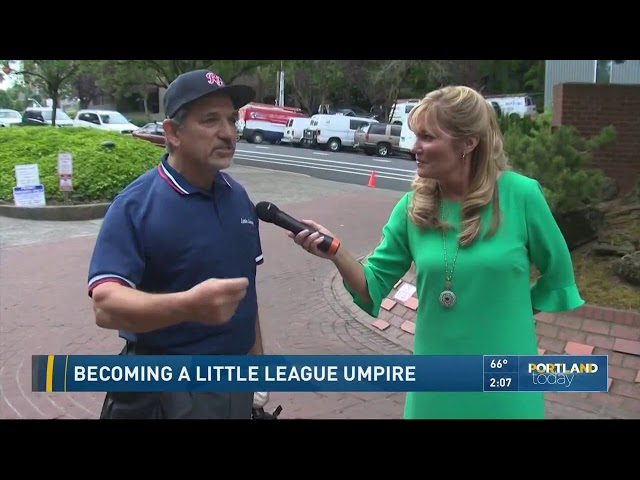 How To Become An Umpire For Youth Baseball?