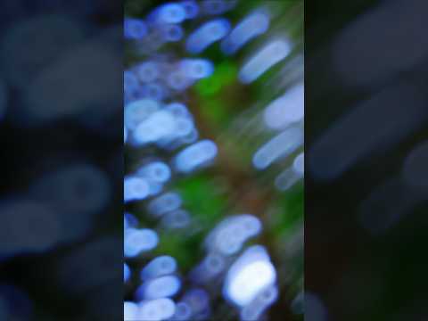 #Pawan Singh, Shilpi Raj | पुदीना ऐ हसीना2.0 | #VIDEO | Le Lo Pudina 2 |#shorts | Bhojpuri Song