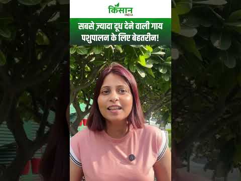 Dairy Farming In India: ये टॉप 5 देसी गाय क्यों देती है सबसे ज्यादा दूध?। Cow Farming। #shortvideo