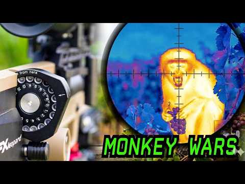 The monkeys can't hide from this scope | FX Leopard FDE | 18gr JTS Pellets | Airgun Pest Control