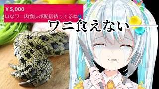 【#雑談/超美麗3D注意】ゲテモノを食うためにVtuberになりたかったわけじゃない。今の私は、きみたちに笑顔を届けられていますか――【#飴