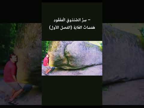 سِرُّ الصَّنْدُوقِ الْمَفْقُودِ – هَمْسَاتُ الغَابَةِ (الفصل الأول)