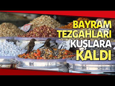 Bayramda “İğne Atsan Yere Düşmez” Caddeler Boş Kaldı