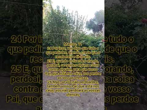 Marcos 11 #bomdiaamor #jesus #bomdia #mensagensdivinas #mensagem #amor #caminhodaverdade #motivacion
