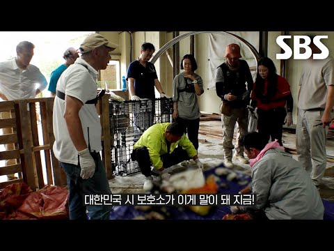 유기 동물 보호 센터의 대형 냉장고에서 발견된 가득한 사체