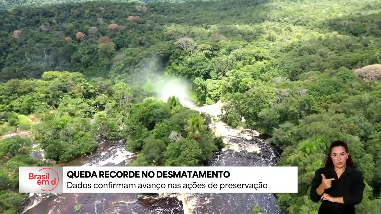 Brasil registra menor índice de desmatamento em unidades de conservação na Amazônia desde 2008 TV Online Brasil registra menor índice de desmatamento em unidades de conservação na Amazônia desde 2008