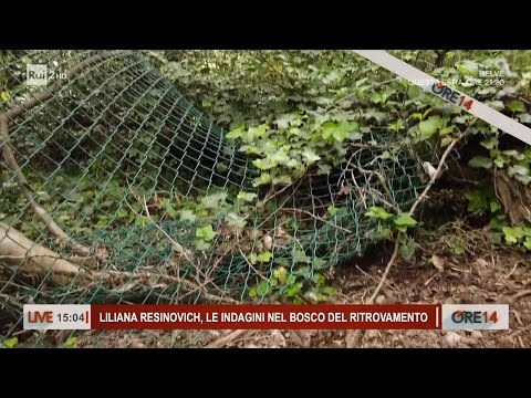 Liliana Resinovich, le indagini nel bosco del ritrovamento - Ore 14 del 09/04/2024