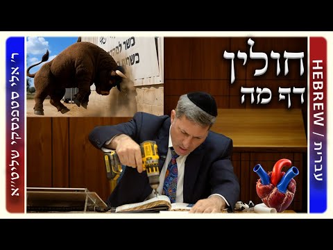 מרכז דף יומי - חולין דף מה. - ר' אלי סטפנסקי שליט"א