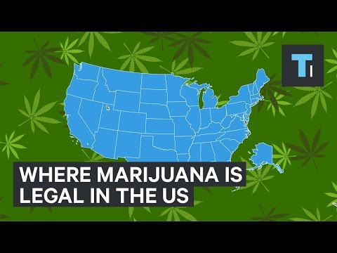 Where marijuana is legal in the US - UCVLZmDKeT-mV4H3ToYXIFYg