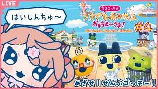 🔴【たまごっちのプチプチおみせっち おまちど～さま！】なんだかちょっと久しぶり？？【あさよる探偵事務所】