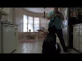 Loose Leash Walking: A few tips