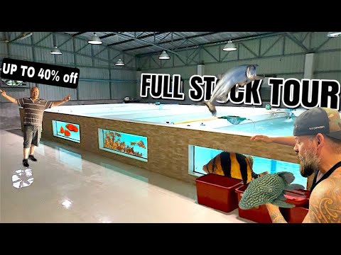 “We Have SO MANY Amazing Fish in Stock! (Full To 📄 Description_
You’ve been asking for it — here’s the full tour of our current fish stock a